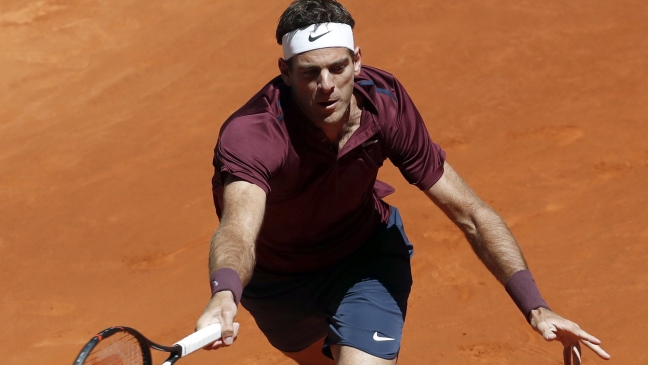 Juan Martín del Potro anunció que no jugará en Roland Garros