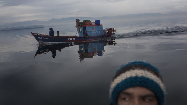 Episodio de marea roja en Los Lagos es el segundo más grande a nivel mundial, según experto
