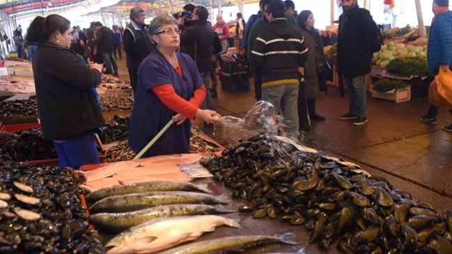 Levantaron parcialmente prohibición de extraer mariscos en la Región de Los Ríos