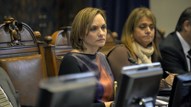 Carolina Goic criticó intención del PS de acudir al TC por control de identidad