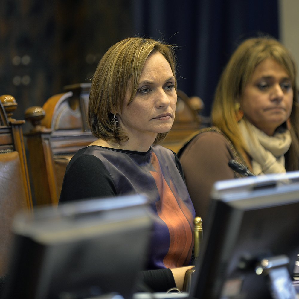 Carolina Goic criticó intención del PS de acudir al TC por control de identidad