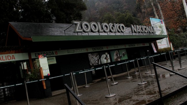 Incidente en el Zoológico Metropolitano terminó con 2 leones muertos -  