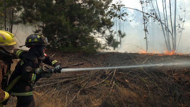 Alerta Roja en la comuna de Lago Ranco por incendio forestal