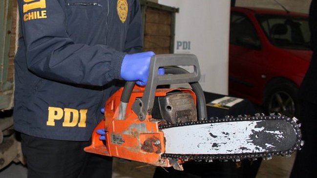 PDI detuvo a hombre que cortó madera nativa en Reserva Nacional Nonguén