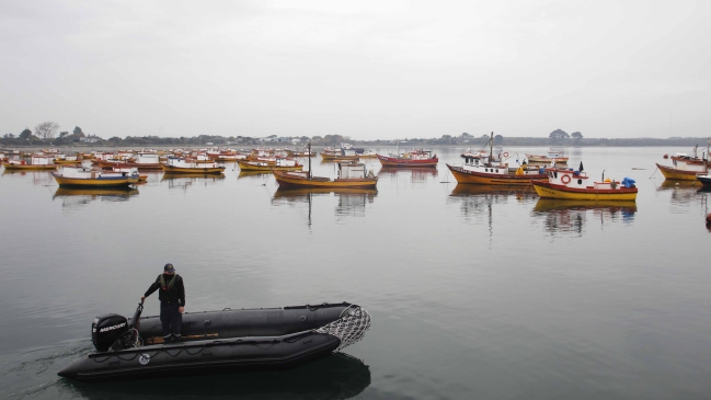 Comité científico confirmó inicio de la retirada de la marea roja en el sur