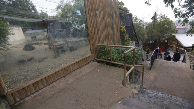 PETA Latino: El modelo de zoológicos es equivocado y cruel