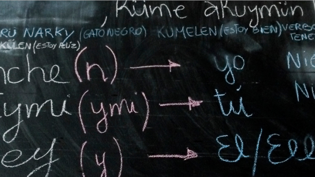 Museo de la Solidaridad Salvador Allende impartirá taller de mapudungun