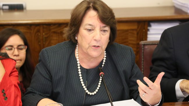 Delpiano defendió plazos para la gratuidad: 