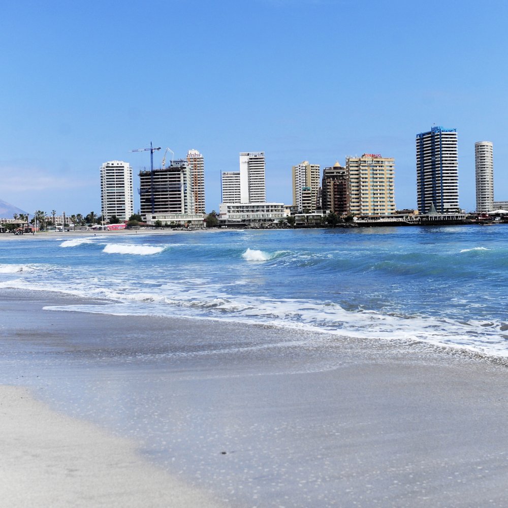 Primarias 2016: Los resultados en la Región de Tarapacá