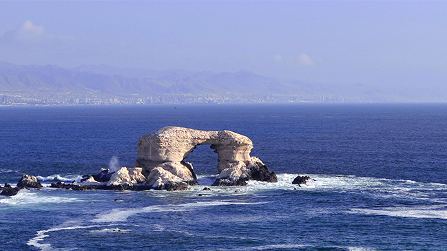 Primarias 2016: Los resultados en la Región de Antofagasta