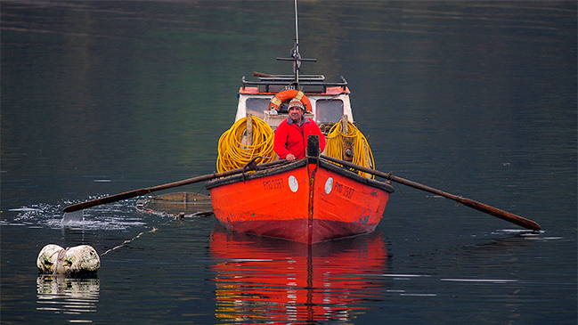 Primarias 2016: Los resultados en la Región de Los Lagos