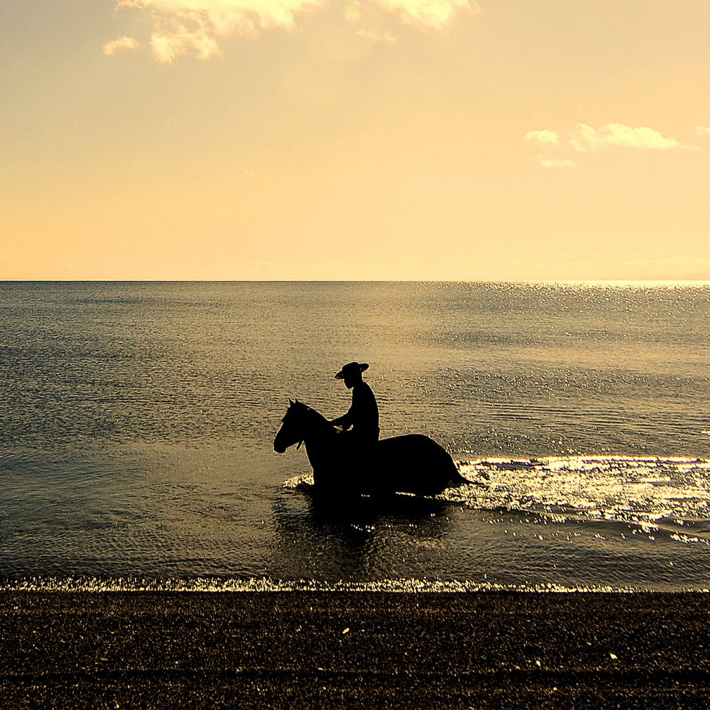 Déficit hídrico del 68 por ciento preocupa a las autoridades de Los Lagos
