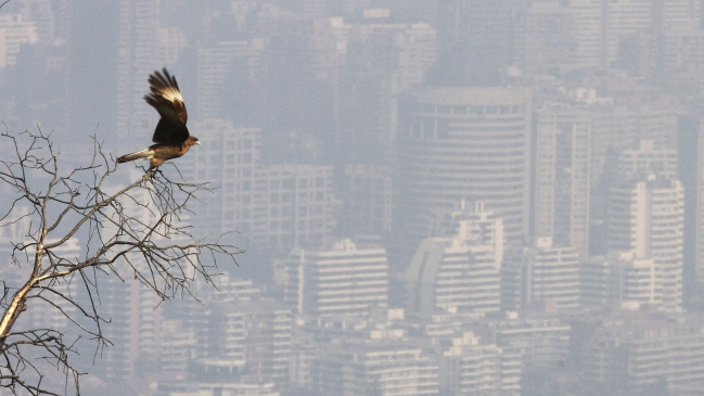 Intendencia Metropolitana decretó emergencia ambiental para este lunes