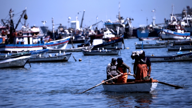 Ferepa acusó pago de sobornos a sindicatos de pescadores por proyecto 