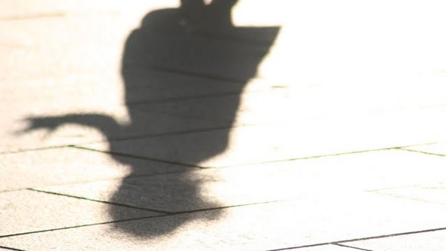 Funcionarios del Sename: Las desgracias se tapan y seguimos funcionando de la misma forma