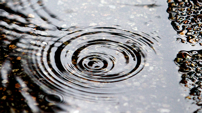 Sistema frontal traerá fuertes vientos y lluvia en la zona norte