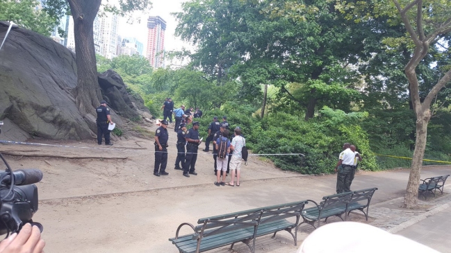 Explosión en Central Park dejó un herido