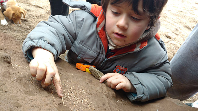 Niño argentino encontró fósiles que se cree tienen 500.000 años