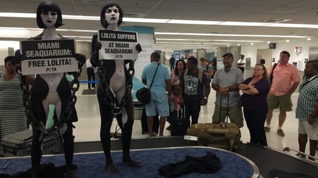 Detienen a dos activistas desnudas en aeropuerto de Miami tras protesta
