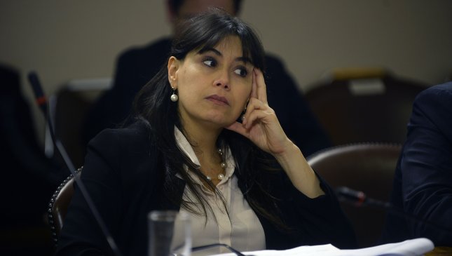 Diputado UDI sobre ministra Blanco: 