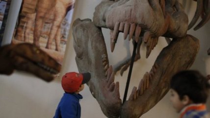   La Historia es Nuestra: 