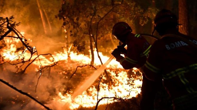 Más de 100 incendios forestales continúan activos en Portugal