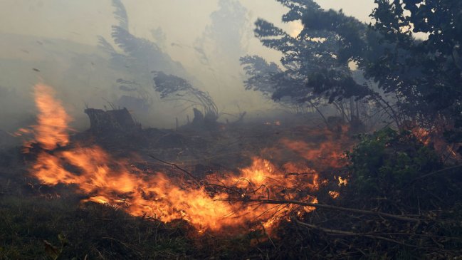 Incendio consume al menos 1.500 hectáreas de bosque en Argentina