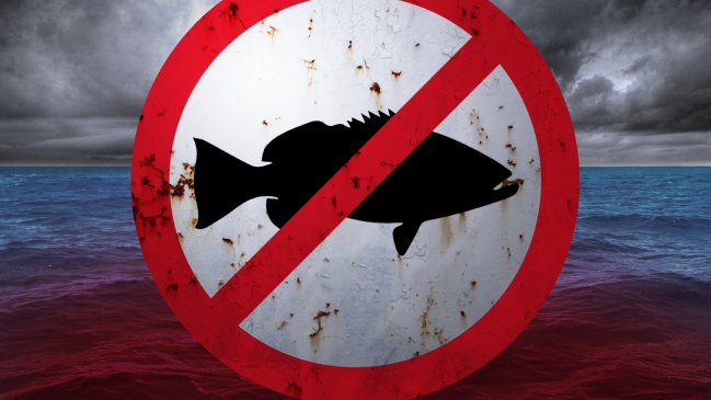 Marea roja: Dirigentes de la pesca artesanal cuestionan informe de expertos