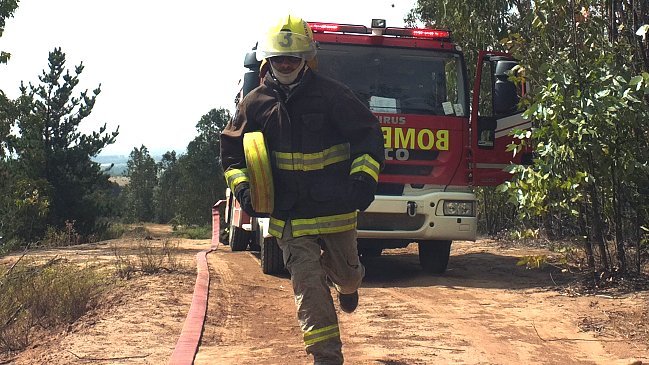 Incendio forestal destruye dos hectáreas en la comuna de Calle Larga