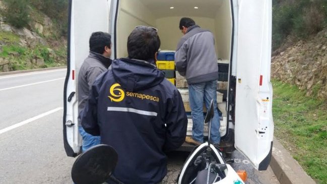 Carabineros incautó tres toneladas de merluza en el Maule