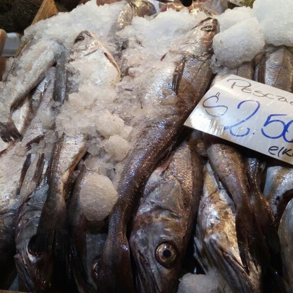 Sernapesca advierte: 