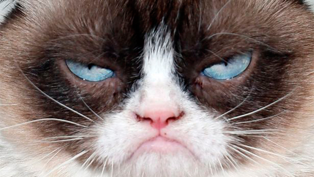 La millonaria demanda por el uso de la imagen del popular 