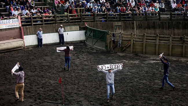 Convocan para este sábado a gran movilización nacional contra el rodeo
