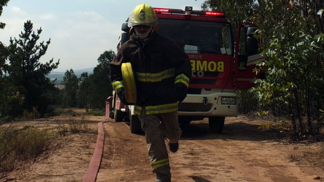 Onemi declaró alerta amarilla en Linares por incendio forestal