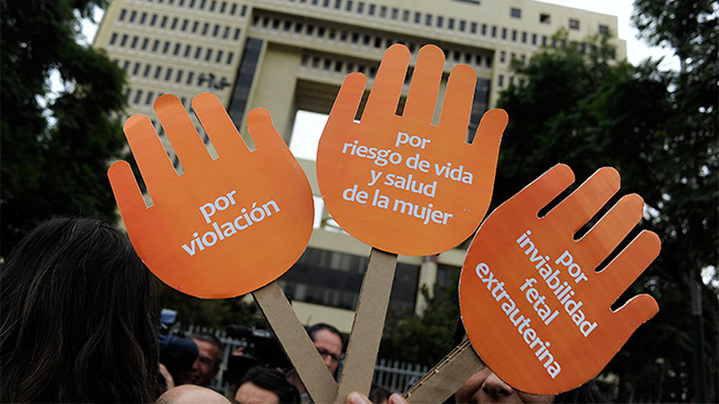 UDI adelanta que llevará al TC el proyecto que despenaliza el aborto