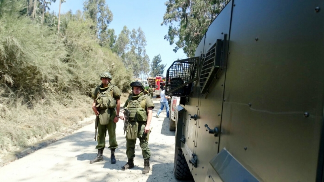 Encapuchados atacaron fundo de la Forestal Mininco en Cañete