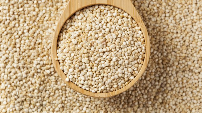 Académicos lanzan al mercado suplemento alimenticio para adultos mayores en base a quinoa