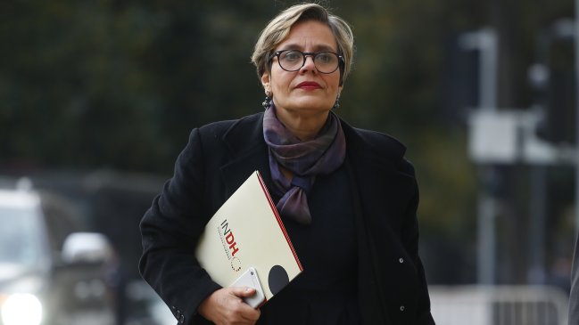 Chadwick criticó designación de Fries como subsecretaria de DD.HH.