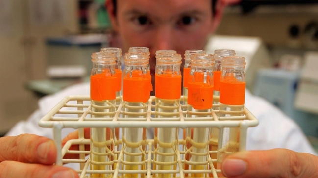 La AMA trabaja para evitar y prevenir más ataques a su sistema informático