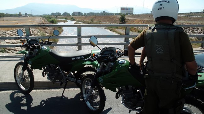Carabineros detuvo a 20 personas por robo de madera en provincia de Arauco