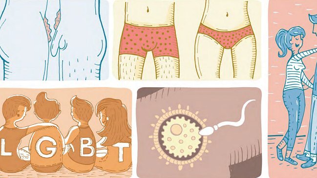 Gobierno validó libro sobre educación sexual adolescente