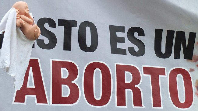 ONG presentó primera querella contra grupos 