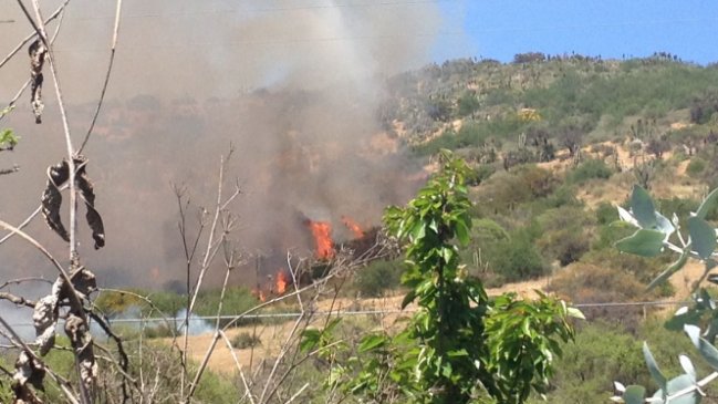 Alerta roja por incendio forestal en comuna de Nogales