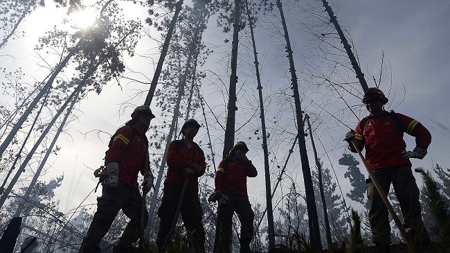 Incendio forestal ha destruido 75 hectáreas en Valparaíso