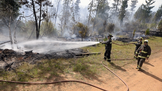 Continúan trabajos para sofocar incendio forestal en Placilla