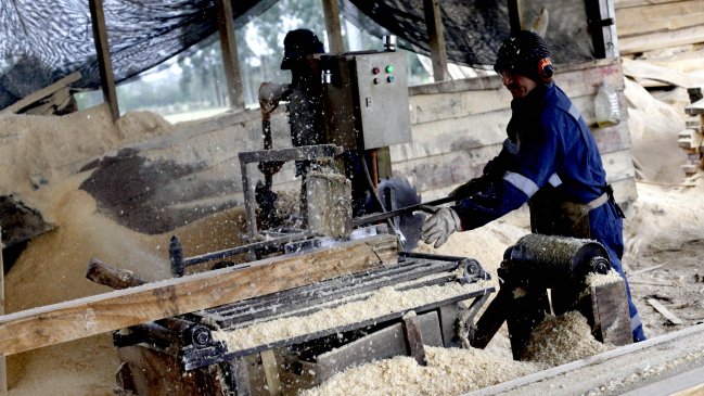 Ercilla: Desbaratan banda que comercializaba madera en forma clandestina