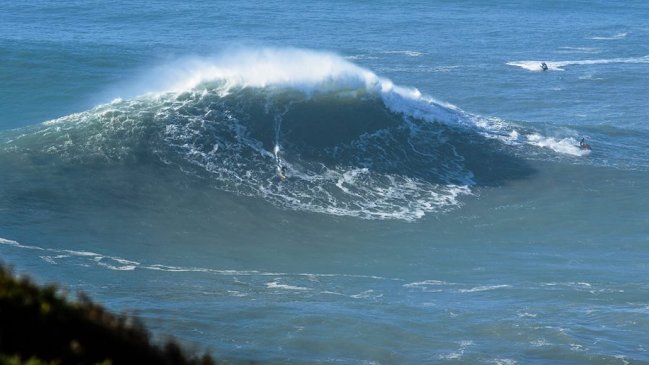 Un chileno va por el premio Excelencia de los 
