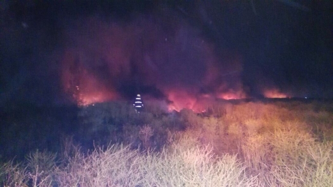 Bomberos controló incendio intencional en Lampa