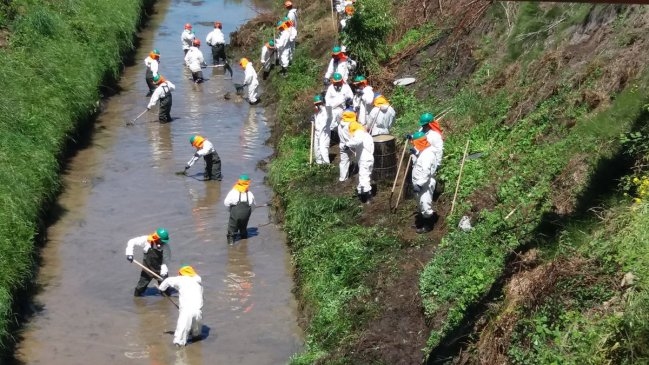 ENAP levantó emergencia por derrame de petróleo en canales de regadío del Maule