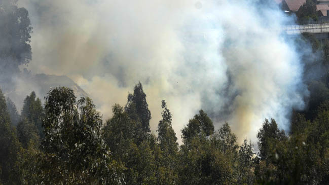 Conaf informó que fue controlado el incendio forestal en Santo Domingo